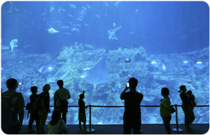 04-Ocean Park Behind-the-Scenes Tour.png
